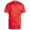 Maillot de Foot Espagne Finals UEFA Euro 2024 Domicile Homme