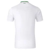 Maillot de Foot Irlande 2024 Extérieur Homme