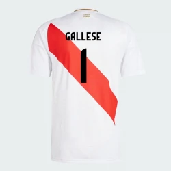 Maillot de Foot Pérou Gallese #1 Copa America 2024 Domicile Homme