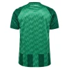 Maillot de Foot Werder Brême 2024-25 Domicile Homme